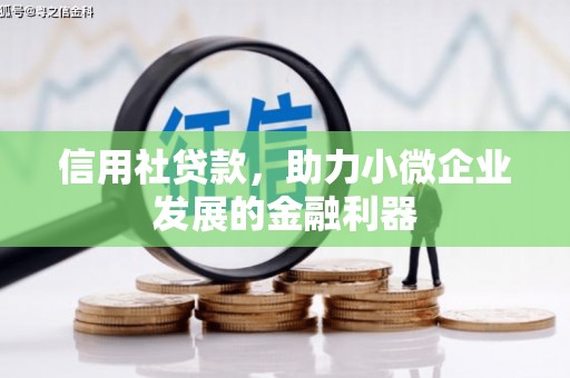 永寿信用社贷款，助力小微企业发展的金融利器