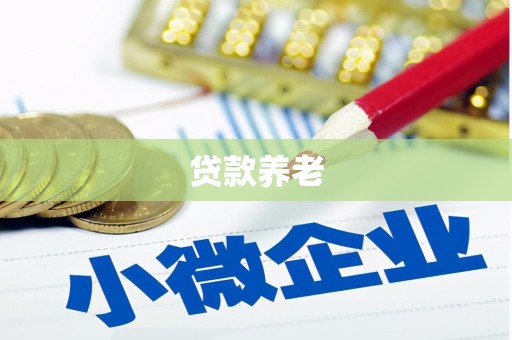 永寿贷款养老