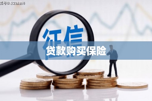 永寿贷款购买保险
