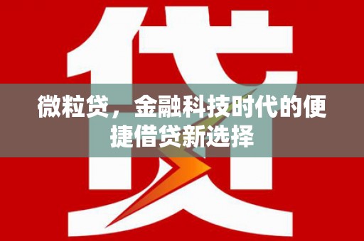 永寿微粒贷，金融科技时代的便捷借贷新选择