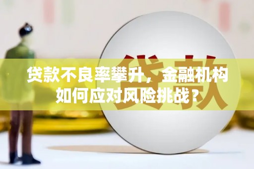永寿贷款不良率攀升，金融机构如何应对风险挑战？