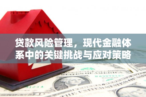 永寿贷款风险管理，现代金融体系中的关键挑战与应对策略