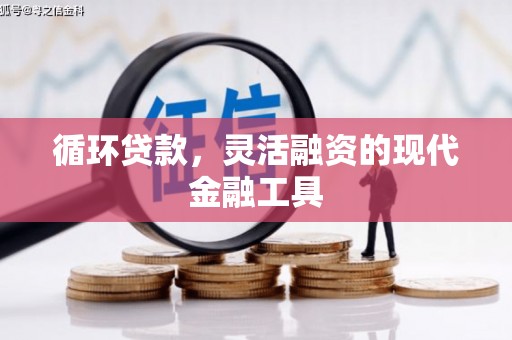 永寿循环贷款，灵活融资的现代金融工具