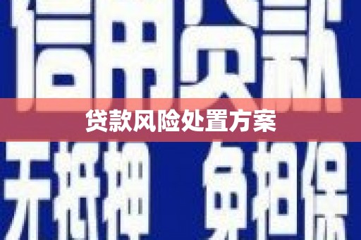 永寿贷款风险处置方案