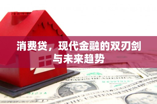 永寿消费贷，现代金融的双刃剑与未来趋势