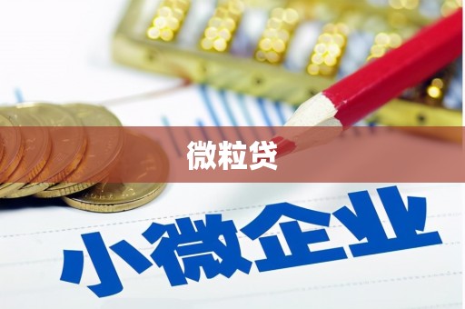 永寿微粒贷