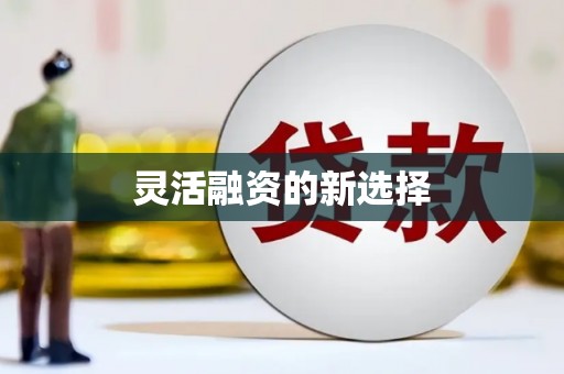 永寿灵活融资的新选择