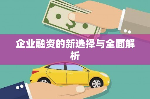 永寿企业融资的新选择与全面解析