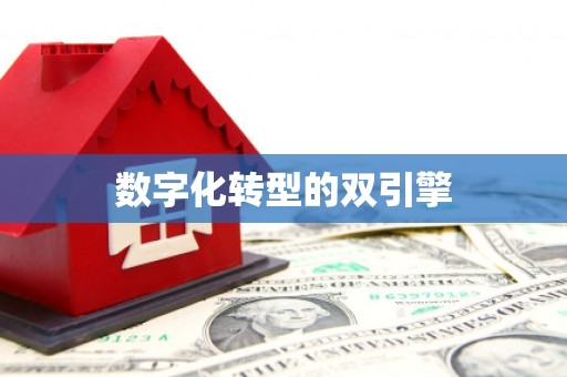 永寿数字化转型的双引擎