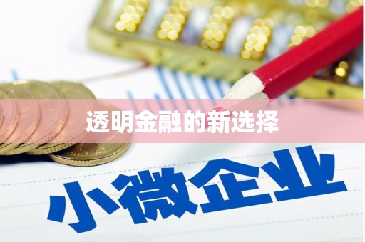 永寿透明金融的新选择