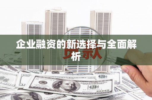 永寿企业融资的新选择与全面解析