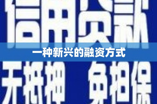 永寿一种新兴的融资方式