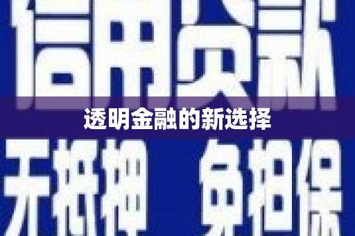永寿透明金融的新选择