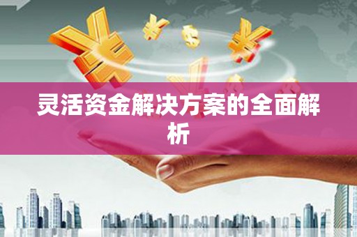 永寿灵活资金解决方案的全面解析