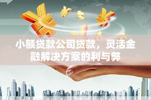 永寿小额贷款公司贷款，灵活金融解决方案的利与弊